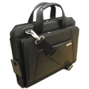 Fuji Leather Carrying Case
